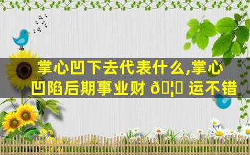 掌心凹下去代表什么,掌心凹陷后期事业财 🦋 运不错